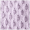 Pastel Lilac