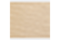 Pumice Stone
