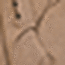 Heather Camel