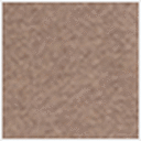 Heather Camel