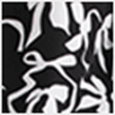 Black & White Bows