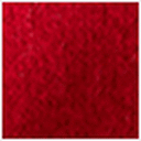 Goji Berry Solid
