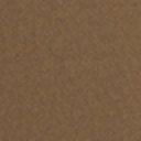 Shitake