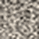 Grey Boucle
