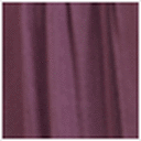 Purple Rose