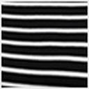 Black Stripe