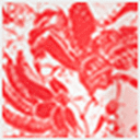 Red Print