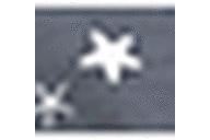 Starfish Indigo