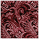 Paisley Print