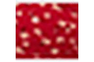 Red /w Floral Print