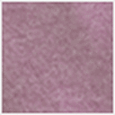 Purple Rose