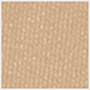 Camel Shimmer