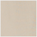 Pumice Stone