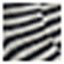 Black/Black Stripe