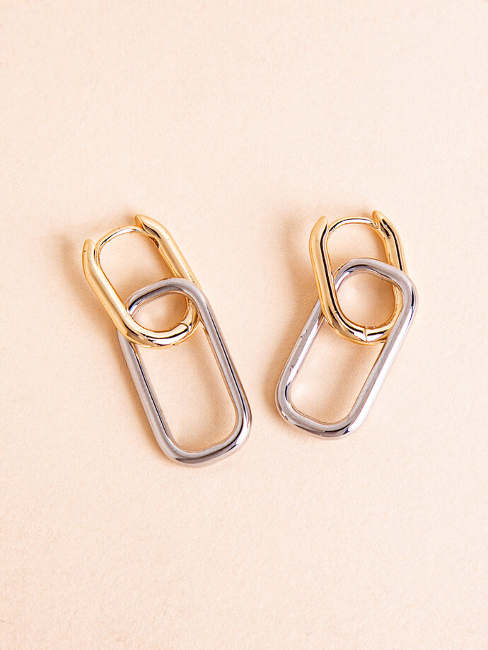 Drop Chain-Link Earrings Image 1