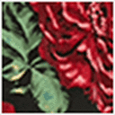 Red/Black Floral