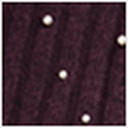 Purple/Pearls