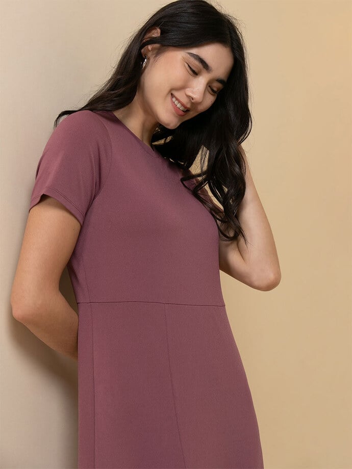 Short Sleeve Midi Dress Image 2