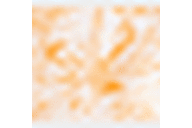 Orange/White Foliage