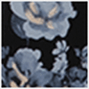 Blue Blossom