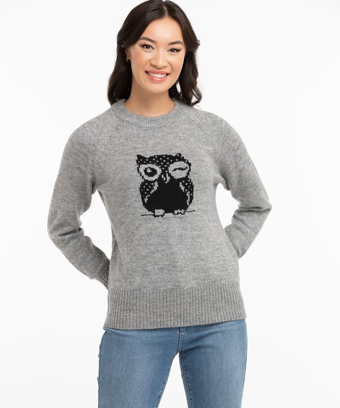 Owl Intarsia Sweater Image 1