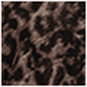 Animal Print