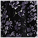 Black/Floral Print
