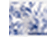 Blue/White Foliage