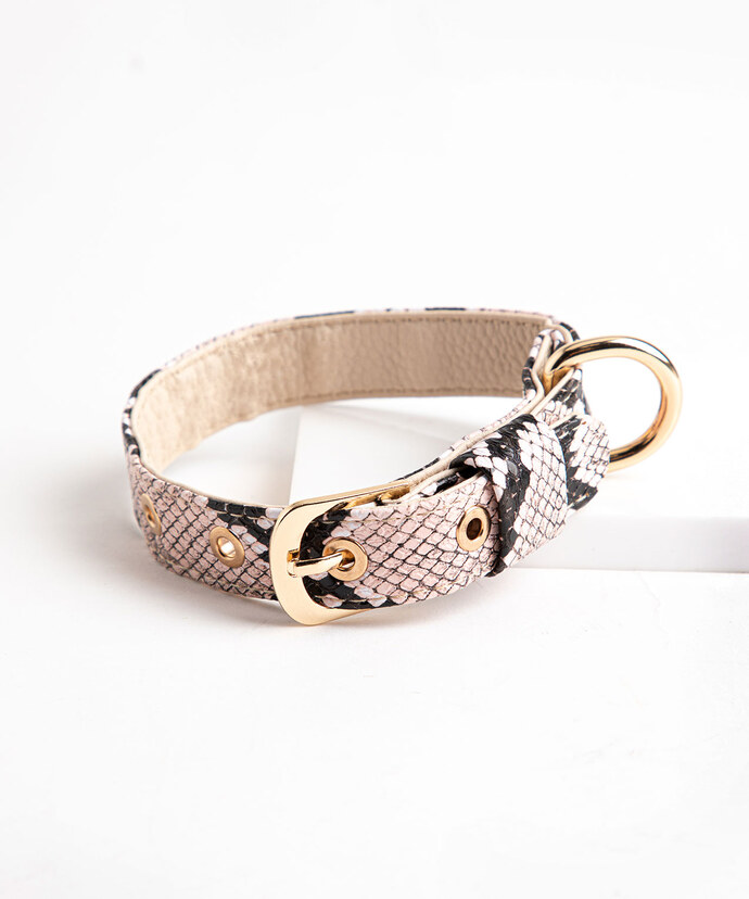 Snakeskin Pet Collar Image 1