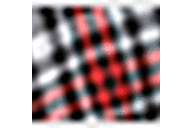 Black/White/Red Plaid