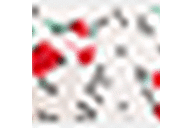 White/Red Floral Print