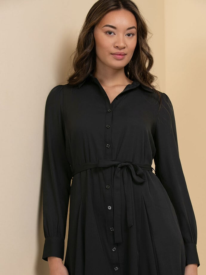 Collared Button-Front Dress with Tie Waist Image 2