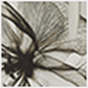 Inky Florals