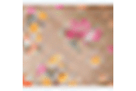 Tan Floral Print