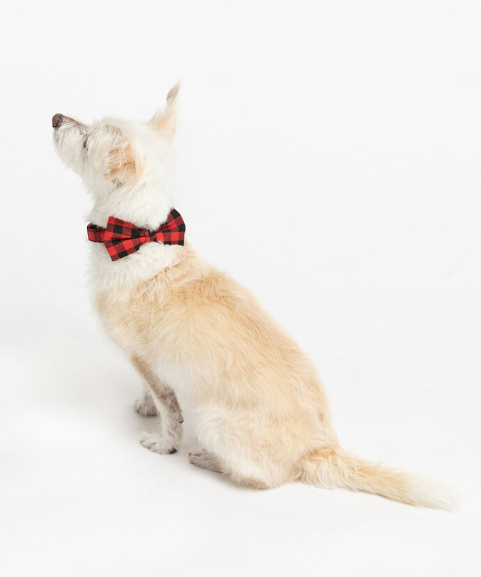Buffalo Check Bow Tie Pet Collar Image 4