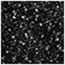 Black/White Speckle