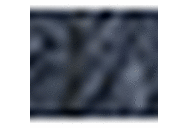 Navy Tropical Print