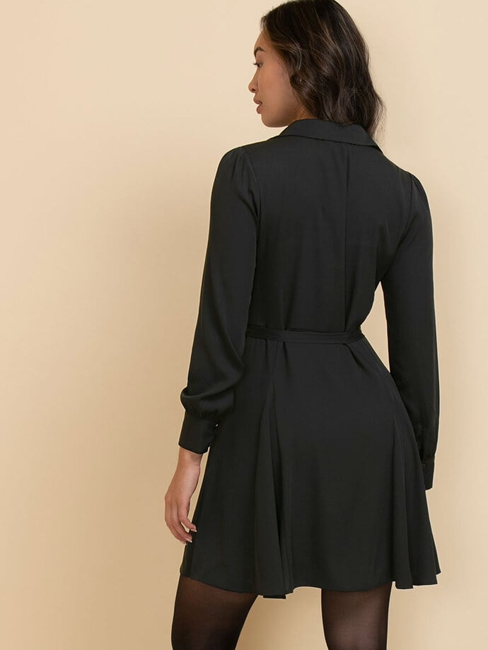 Collared Button-Front Dress with Tie Waist Image 5