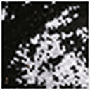 Black Sequins