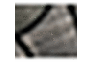 Grey Ptn