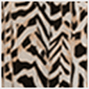 Animal Print