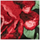 Blk/Red Floral