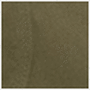 Loden Green