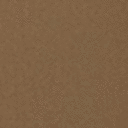 Shitake