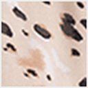 Tonal Animal Dots