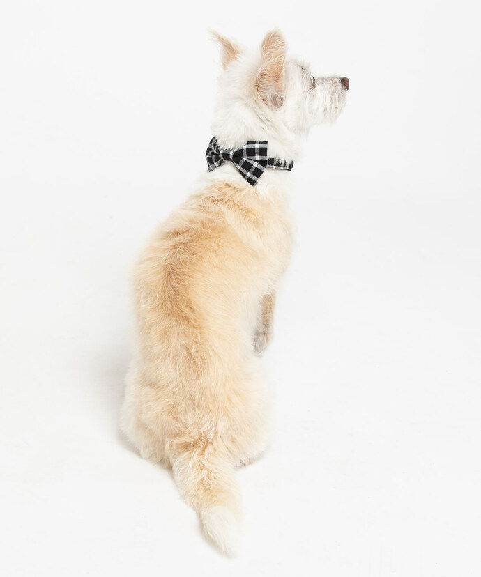 Gingham Bow Tie Pet Collar Image 4