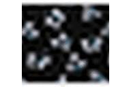 Black Ditsy Print