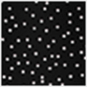 Black & White Dots