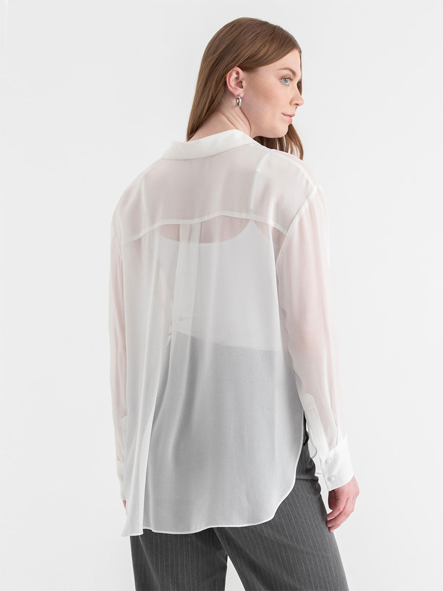 Ruffle Placket Sheer Blouse